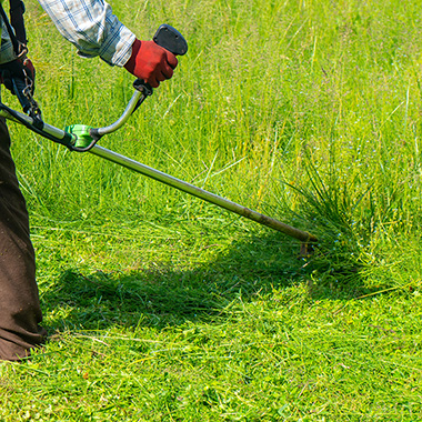 Grass Cutting, Landscape & Tree Trimming